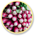 radishes