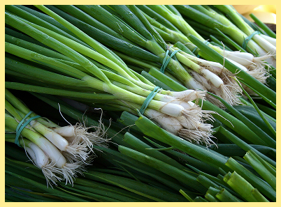 scallions